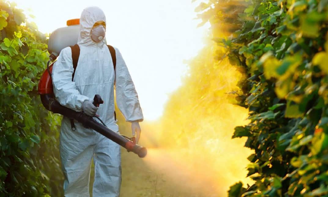 Tratamientos Fitosanitarios en Asturias